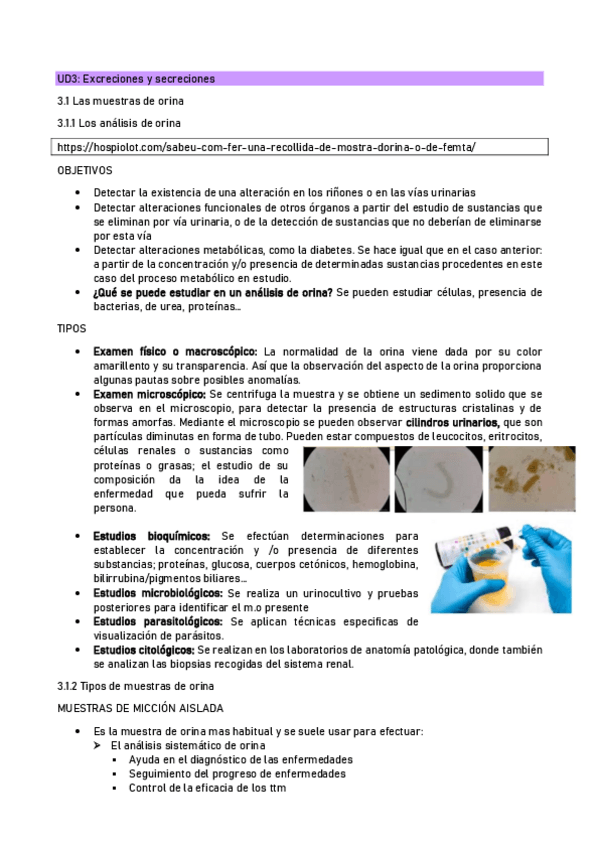 Miniatura del documento UD3-Excreciones-y-secreciones.pdf