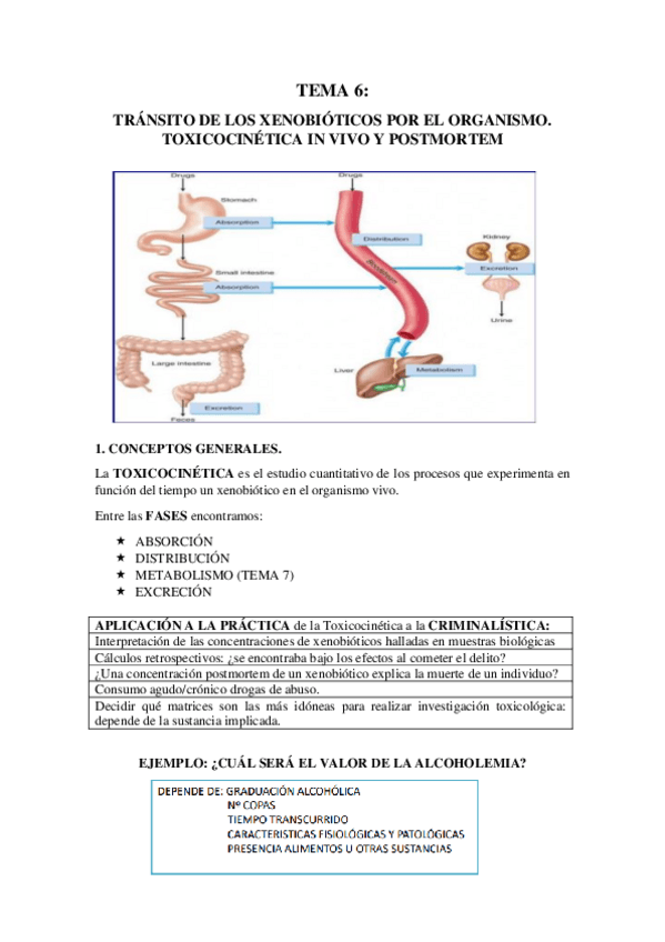Miniatura del documento TEMA-6-FINAL.pdf