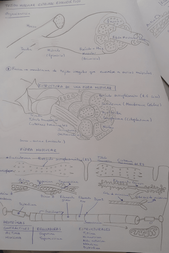Miniatura del documento 20211003092325.jpg