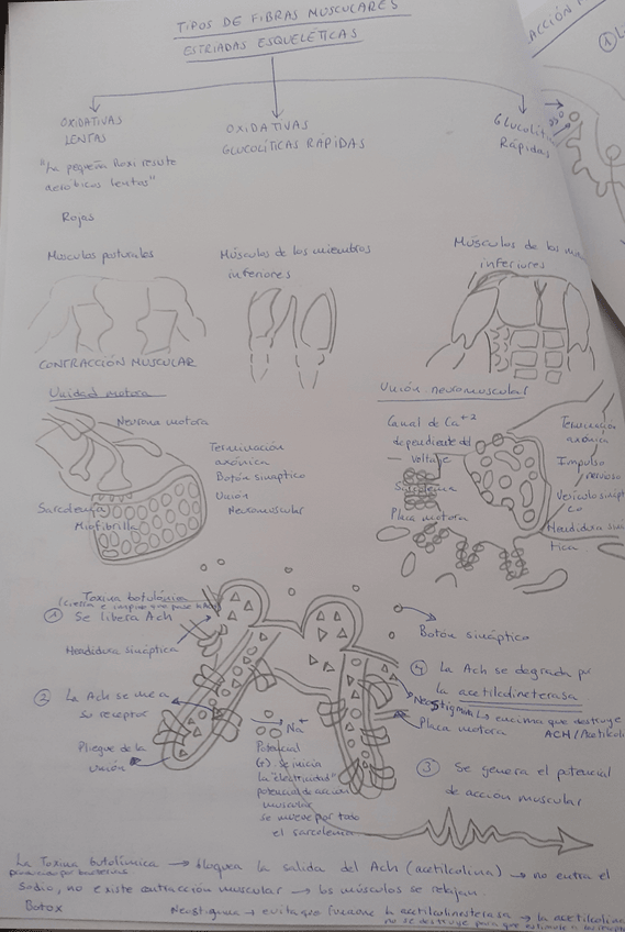Miniatura del documento 20211003092334.jpg