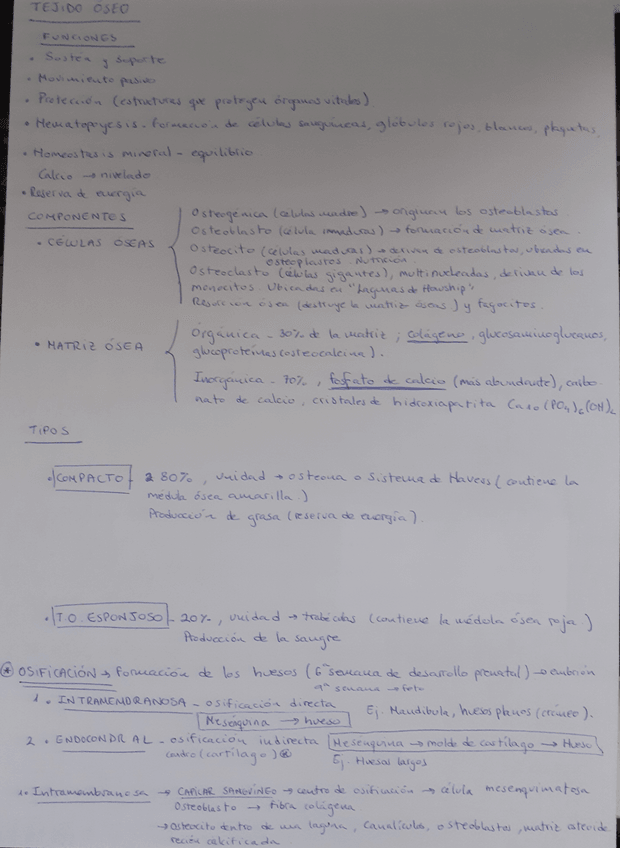 Miniatura del documento 20211003193350.jpg