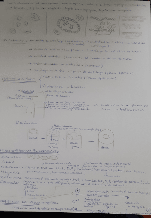 Miniatura del documento 20211003193109.jpg