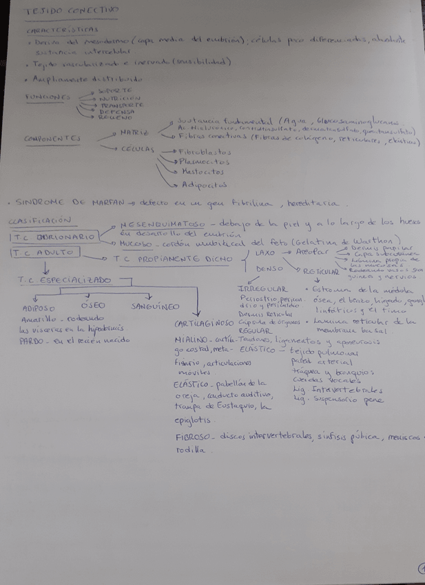 Miniatura del documento 20211003193217.jpg