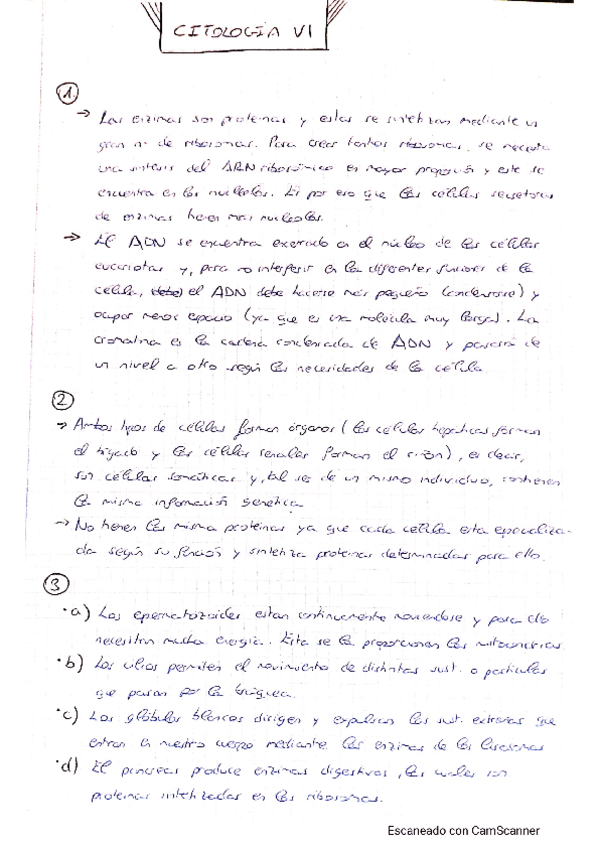 Miniatura del documento Ejercicio-Citologia-VI.pdf