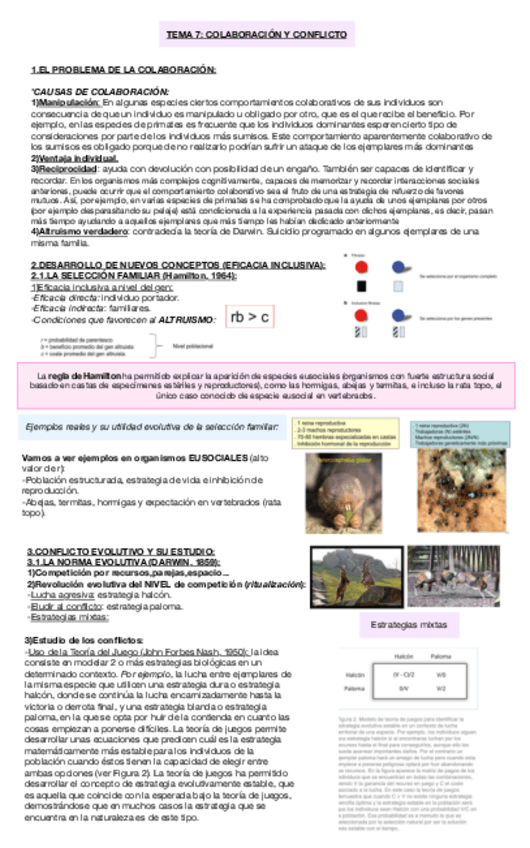 Miniatura del documento TEMA-7-COLABORACION-Y-CONFLICTO.pdf