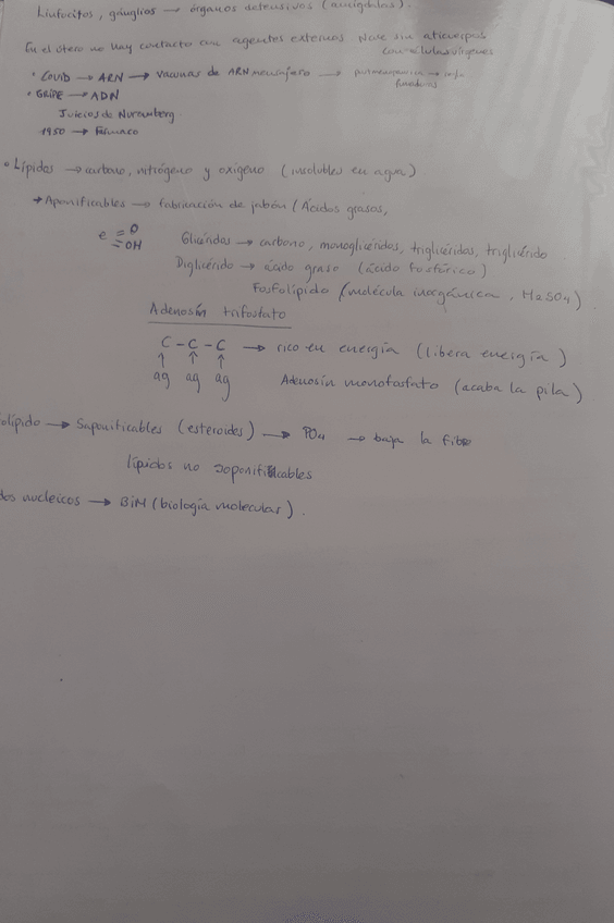 Miniatura del documento 20211004154138.jpg