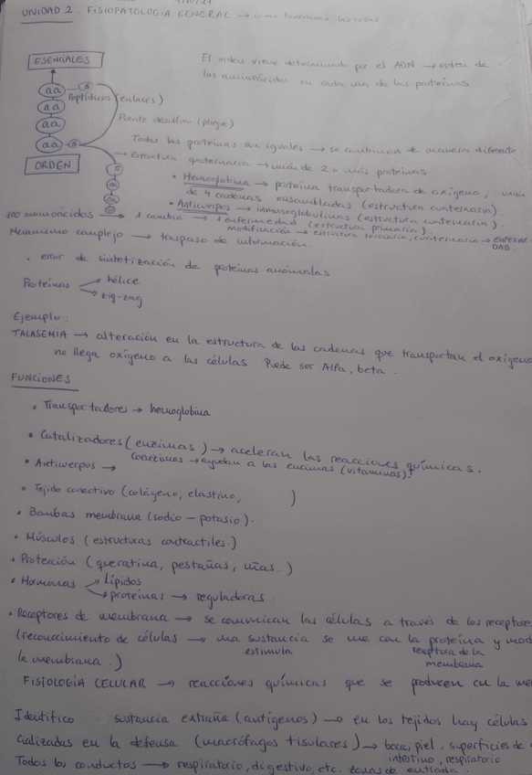 Miniatura del documento 20211004154126.jpg