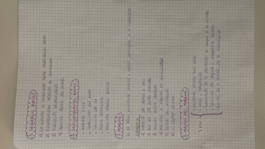 Miniatura del documento 3.JPG