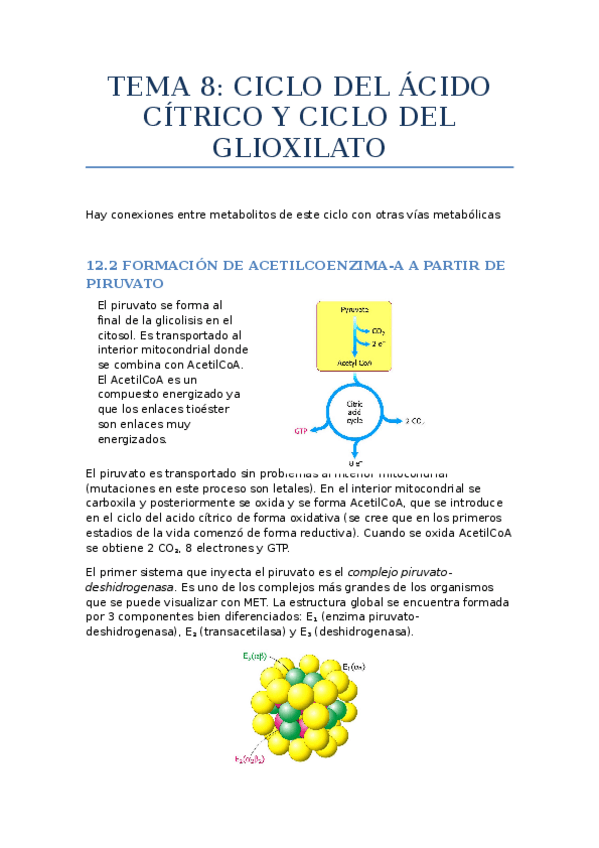 Miniatura del documento Tema 12 Ciclo del ácido cítrico y del glioxilato.docx