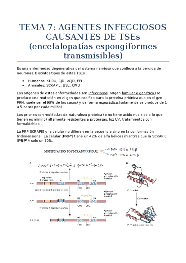 Miniatura del documento Agentes infecciosos causantes de TSEs (1).docx