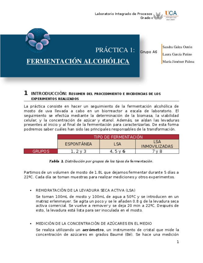 Miniatura del documento Memoria práctica vino.docx