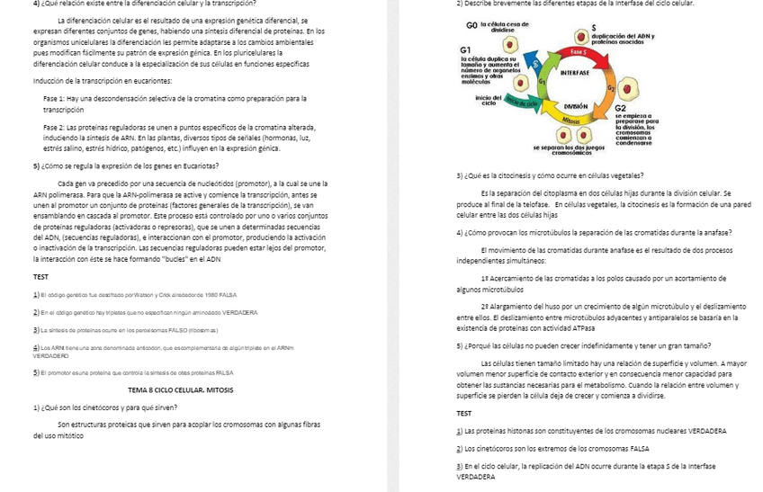 Miniatura del documento Captura8.PNG