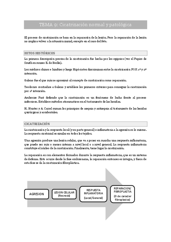 Miniatura del documento Tema 9.pdf