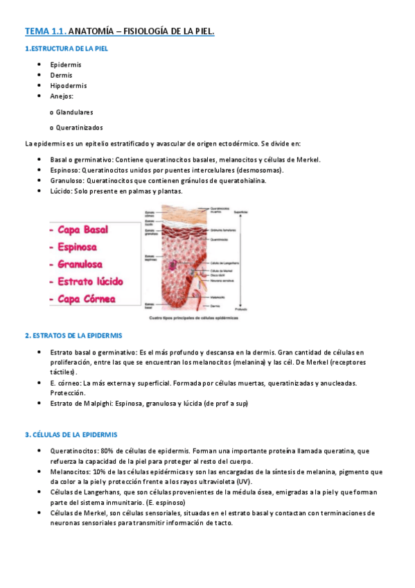 Miniatura del documento Adulto II - Laura parte 2 .pdf