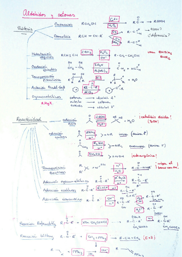 Miniatura del documento Aldehidos y Cetonas.pdf