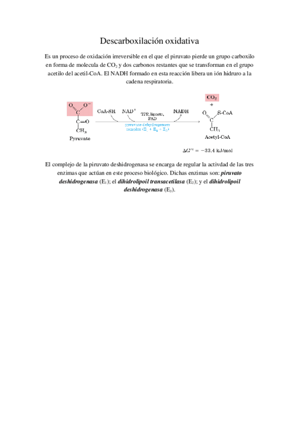 Miniatura del documento Descarboxilación oxidativa y ciclo de krebbs.docx