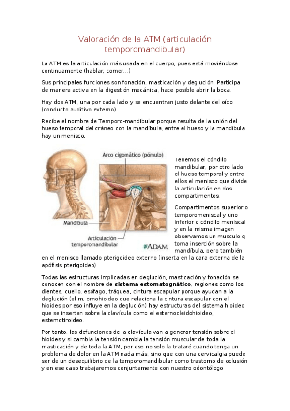 Miniatura del documento Valoración de la ATM.docx