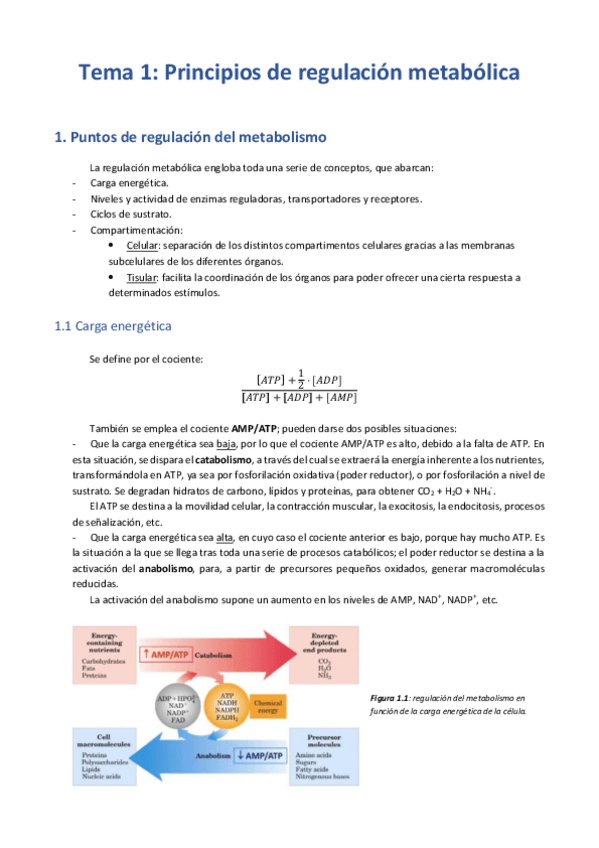 Miniatura del documento Tema 1 - Principios de regulación metabólica.pdf