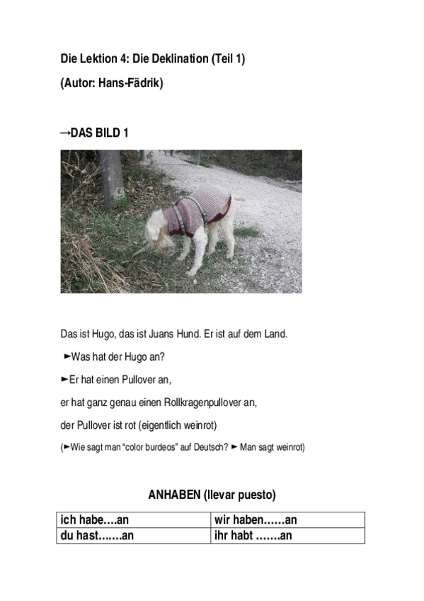 Miniatura del documento LEKTION 4 Akkusativ Dativ Possesivpronomen.docx