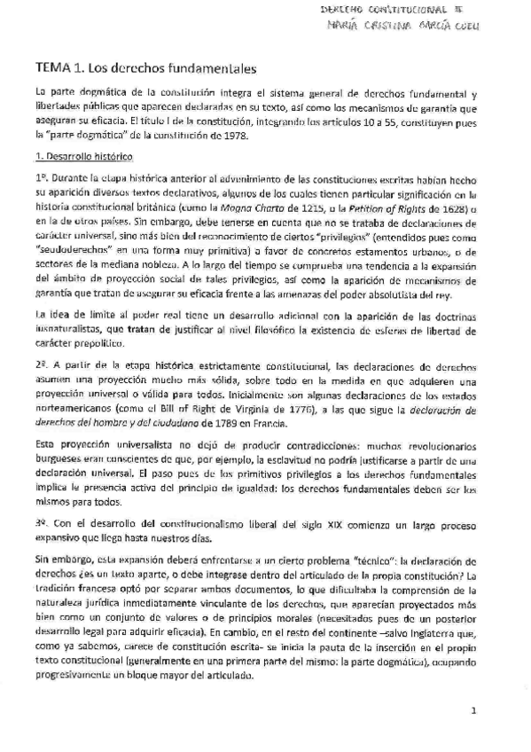 Miniatura del documento Resumen Derecho Constitucional II Completo (parte I).pdf