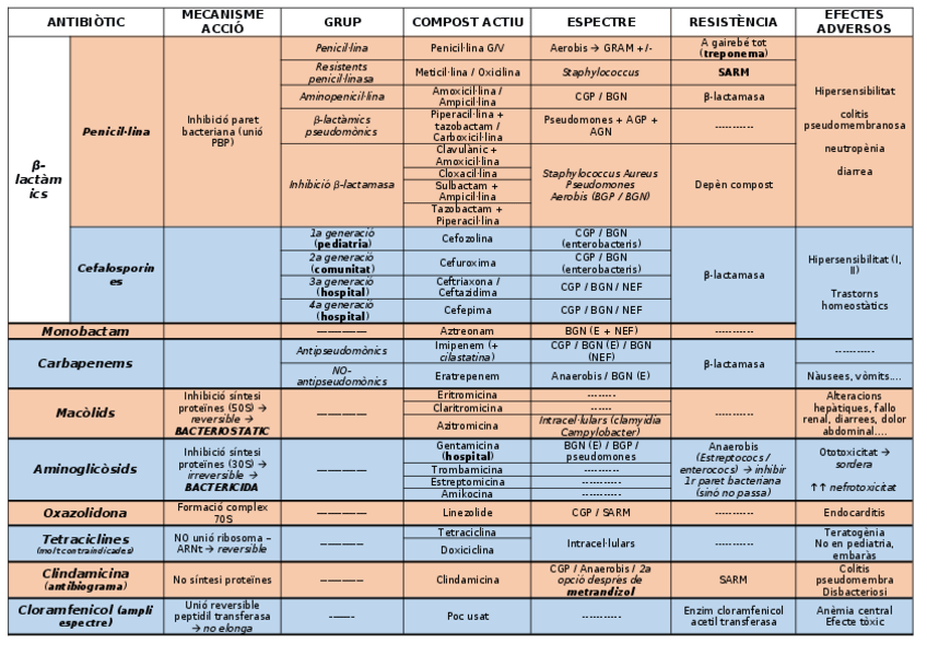 Miniatura del documento Taula Antibiotics.docx