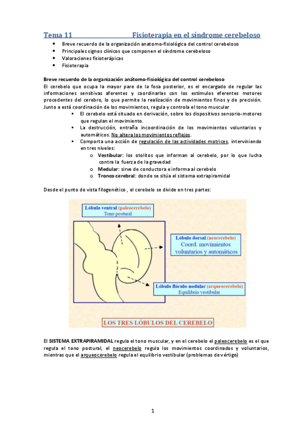 Miniatura del documento Tema 11. Fisioterapia en el sindrome cerebeloso.pdf