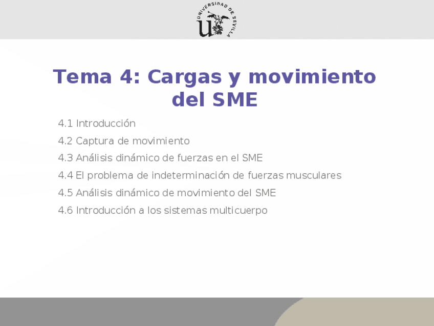 Miniatura del documento Tema 4.4. Cargas y movimiento del SME.ppt