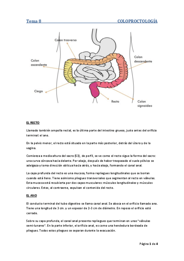 Miniatura del documento Tema 8.pdf