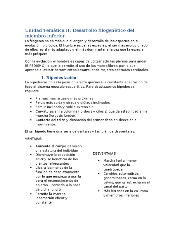 Miniatura del documento Unidad Temática II apuntes.docx