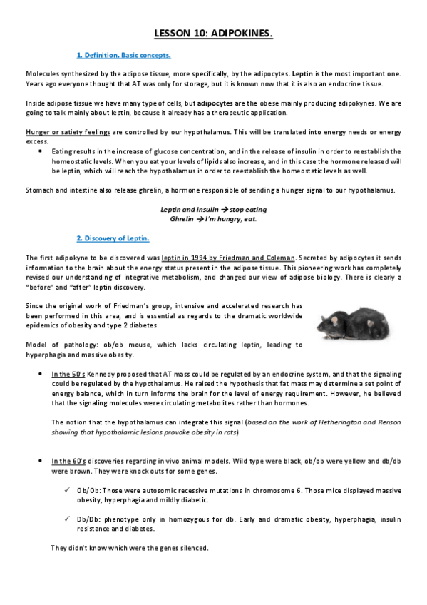 Miniatura del documento Lesson 10.pdf