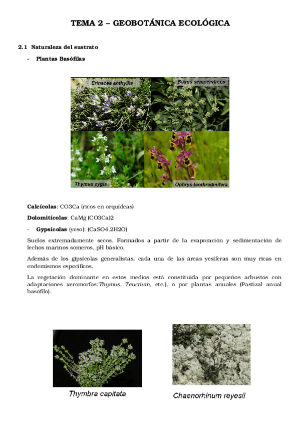 Miniatura del documento Tema 2 - Flora Amenazada.docx