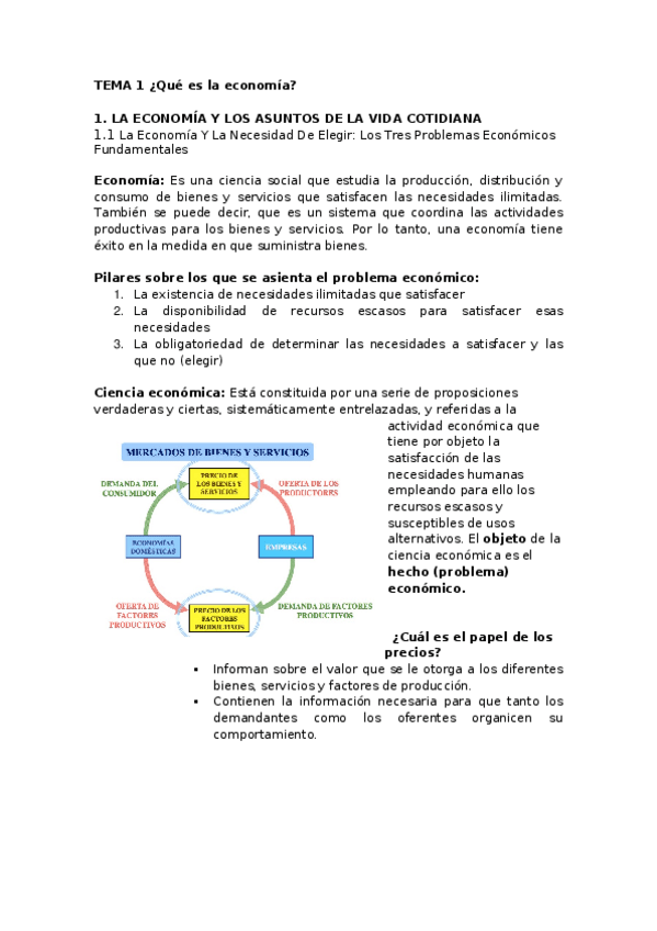 Miniatura del documento Temas 1-5.docx