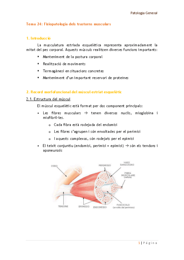 Miniatura del documento Tema 24.pdf