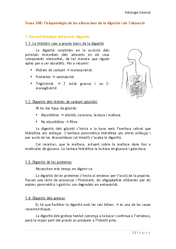 Miniatura del documento Tema 34B.pdf