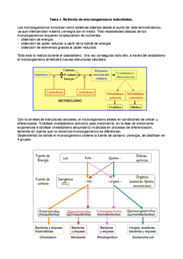 Miniatura del documento biotec_mic5.pdf