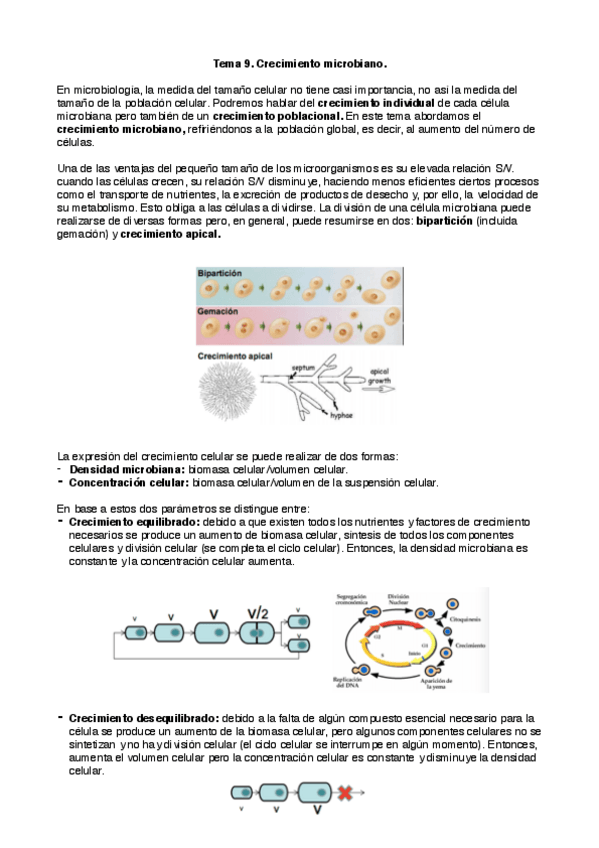 Miniatura del documento biotec_mic9.pdf