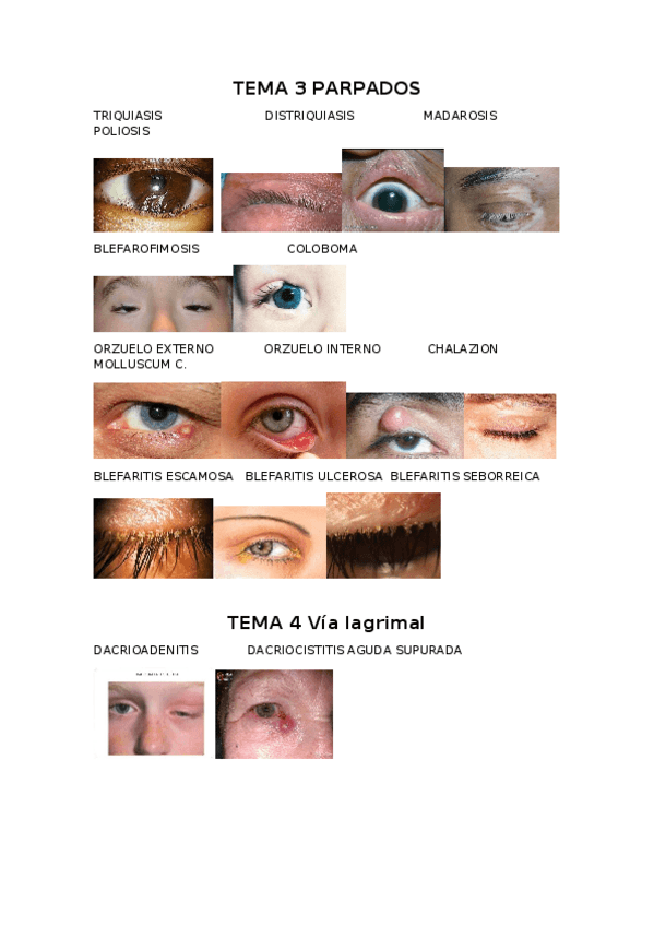 Miniatura del documento Imagenes primer parcial.docx