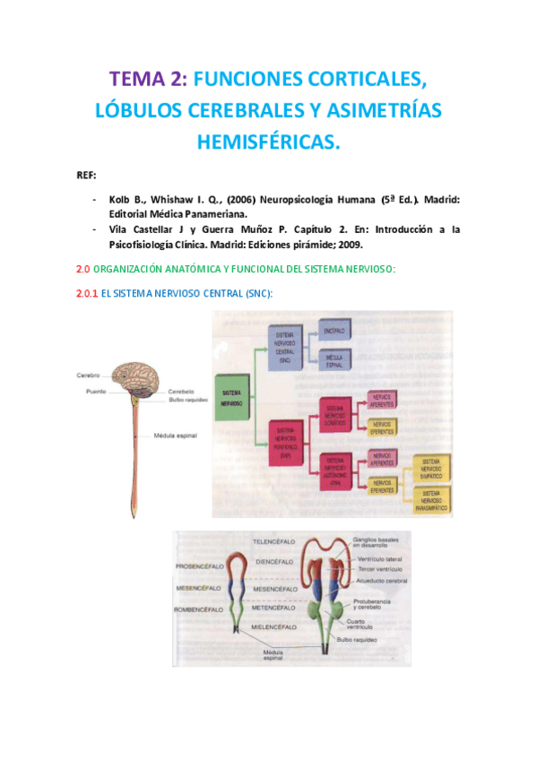 Miniatura del documento TEMA 2 PSICOFISIO.pdf