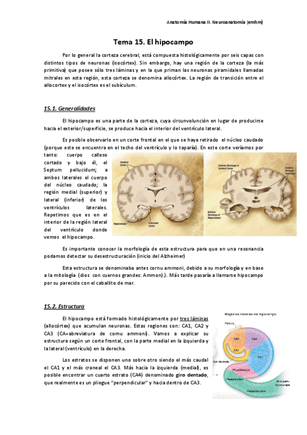 Miniatura del documento T15. El hipocampo.pdf