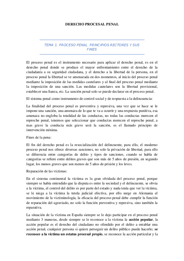 Miniatura del documento DERECHO PROCESAL PENAL.docx
