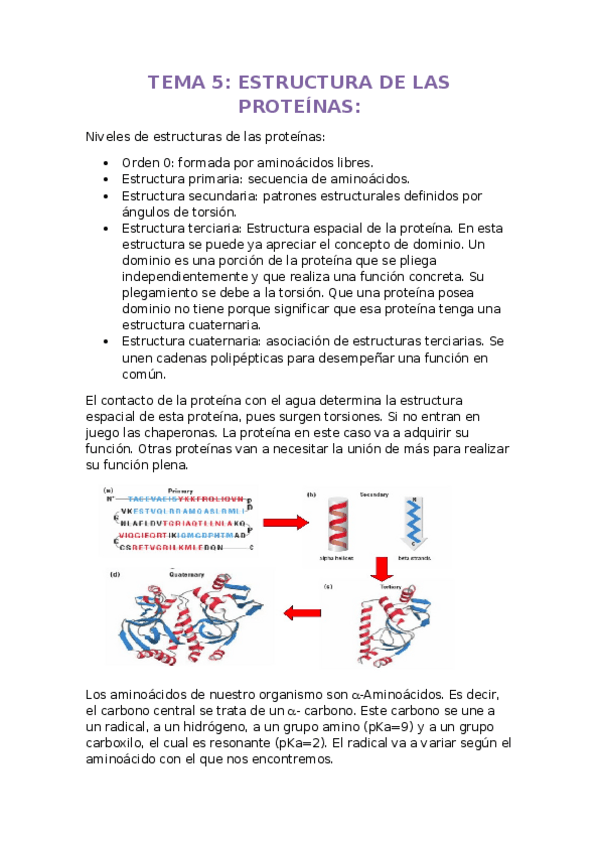 Miniatura del documento TEMA 5.docx