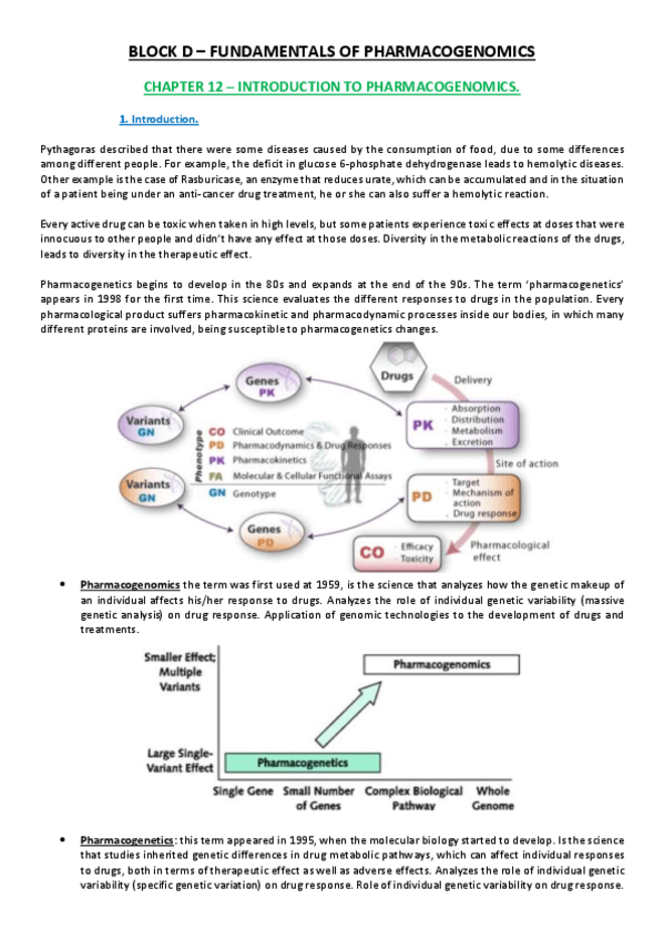 Miniatura del documento Lesson 12.pdf