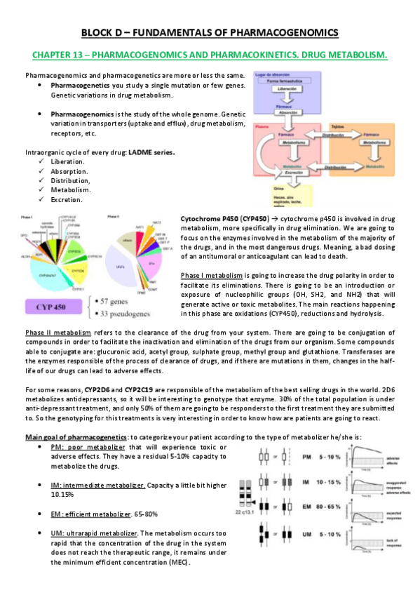 Miniatura del documento Lesson 13.pdf