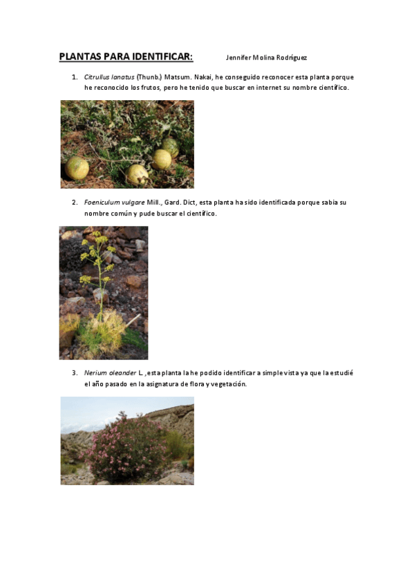 Miniatura del documento plantitas.pdf