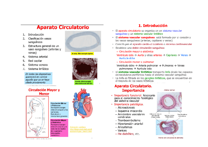 Miniatura del documento APARATO CIRCULATORIO.docx