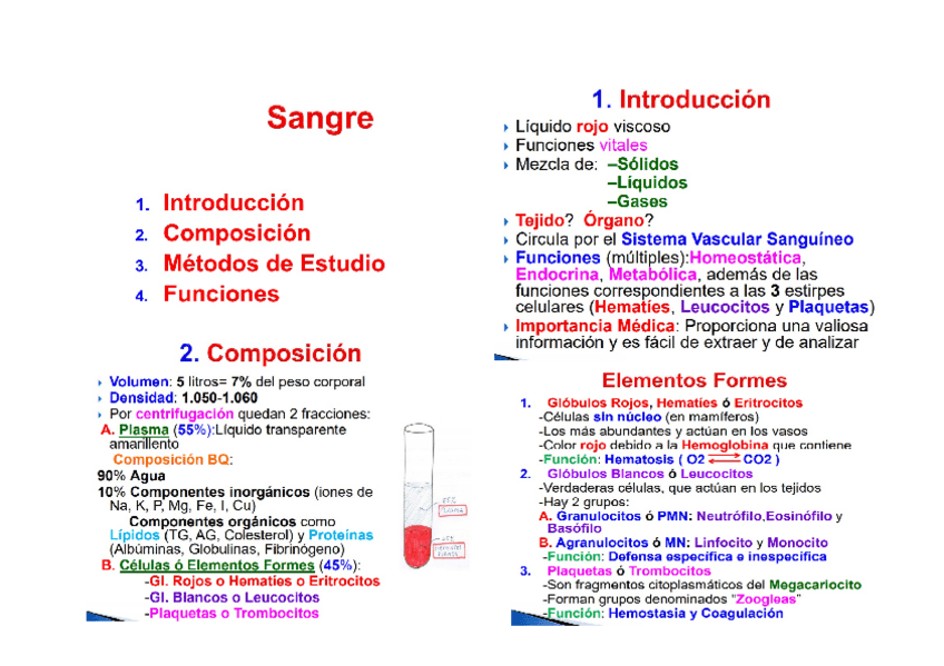 Miniatura del documento SANGRE.docx