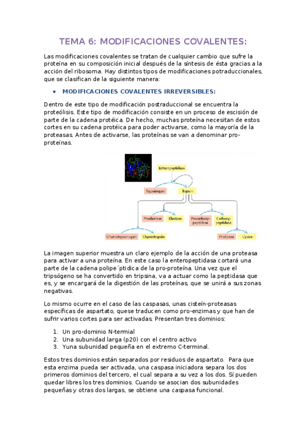 Miniatura del documento TEMA 6.docx