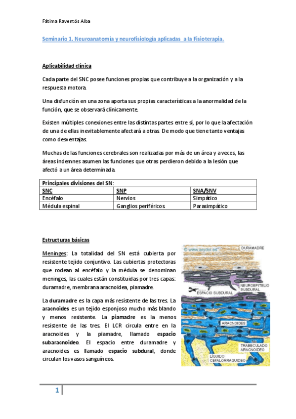 Miniatura del documento Seminario 1 neuroanatomia y neuroplasticidad.pdf
