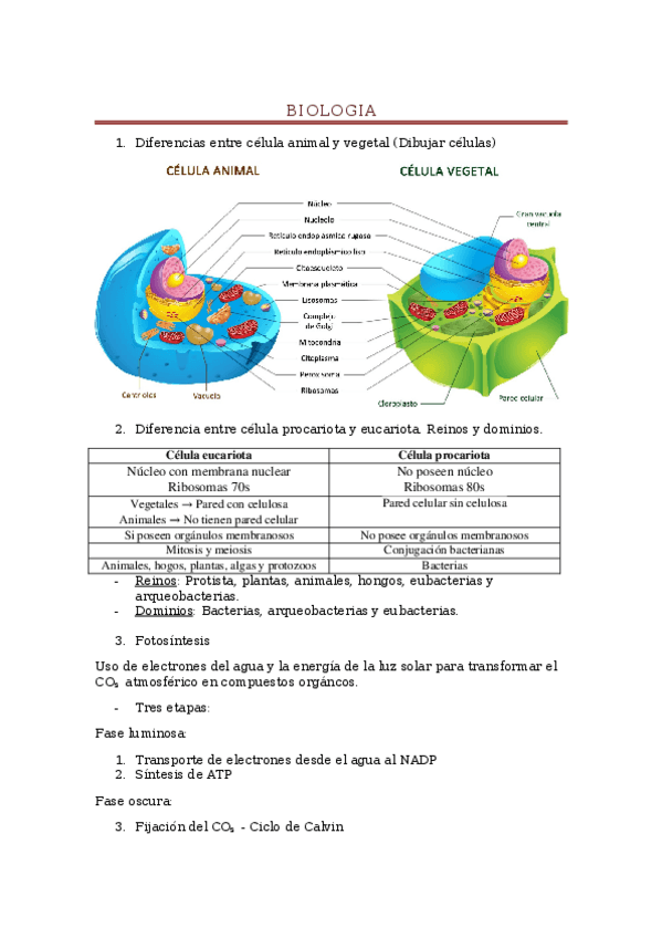 Miniatura del documento prguntas examen biologia.docx