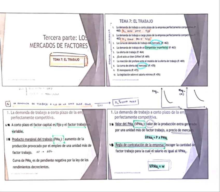 Miniatura del documento Tema 7 micro.pdf